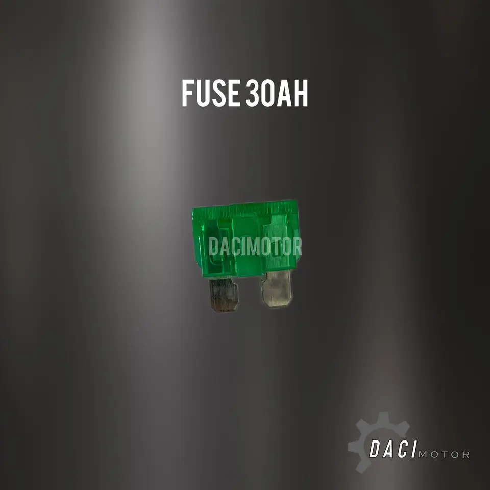 FUSE BESAR 30A